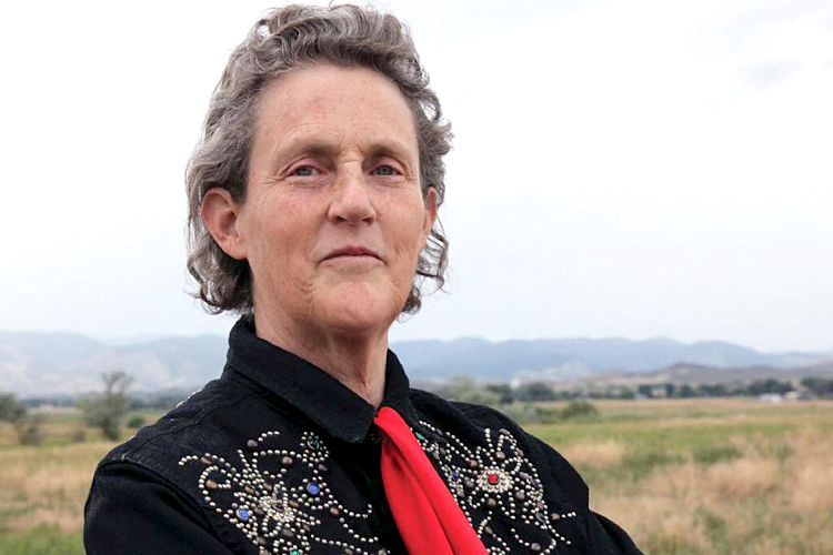 Temple Grandin, científica referente en diseño sistémico y bienestar animal.